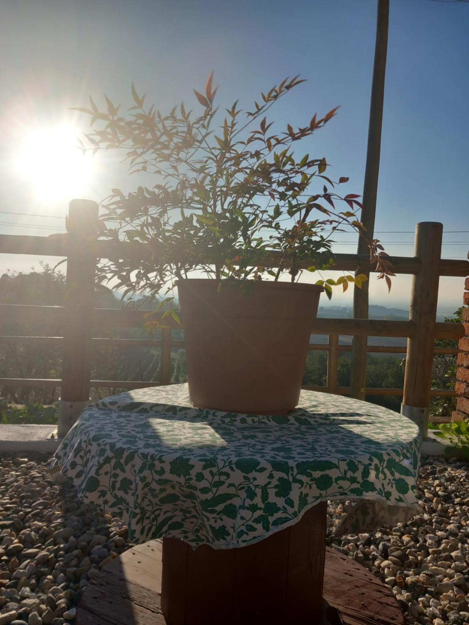 Il Cortile Di Greta Bed & Breakfast Lu (Piedmont) Exterior photo
